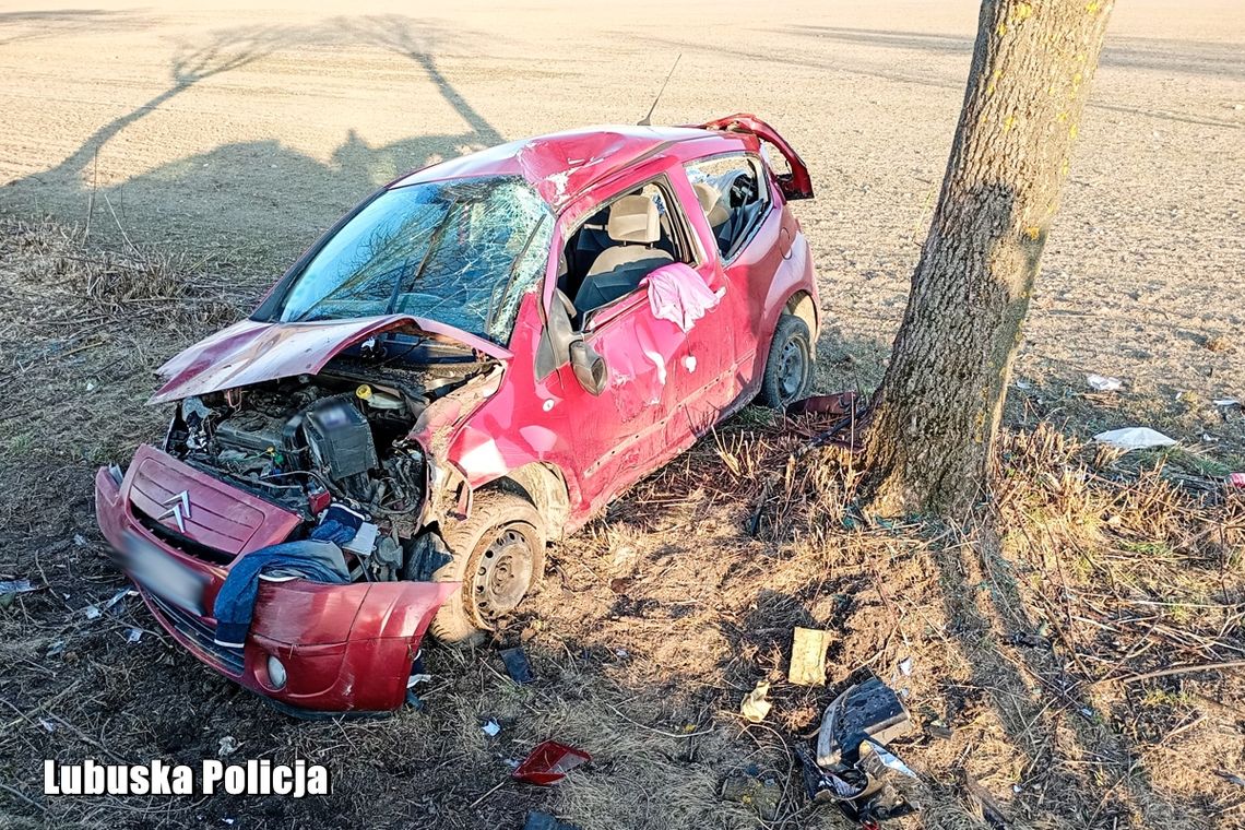 Pijany 40-latek zabrał auto z nieletnim w środku. Chwilę później robili się na drzewie