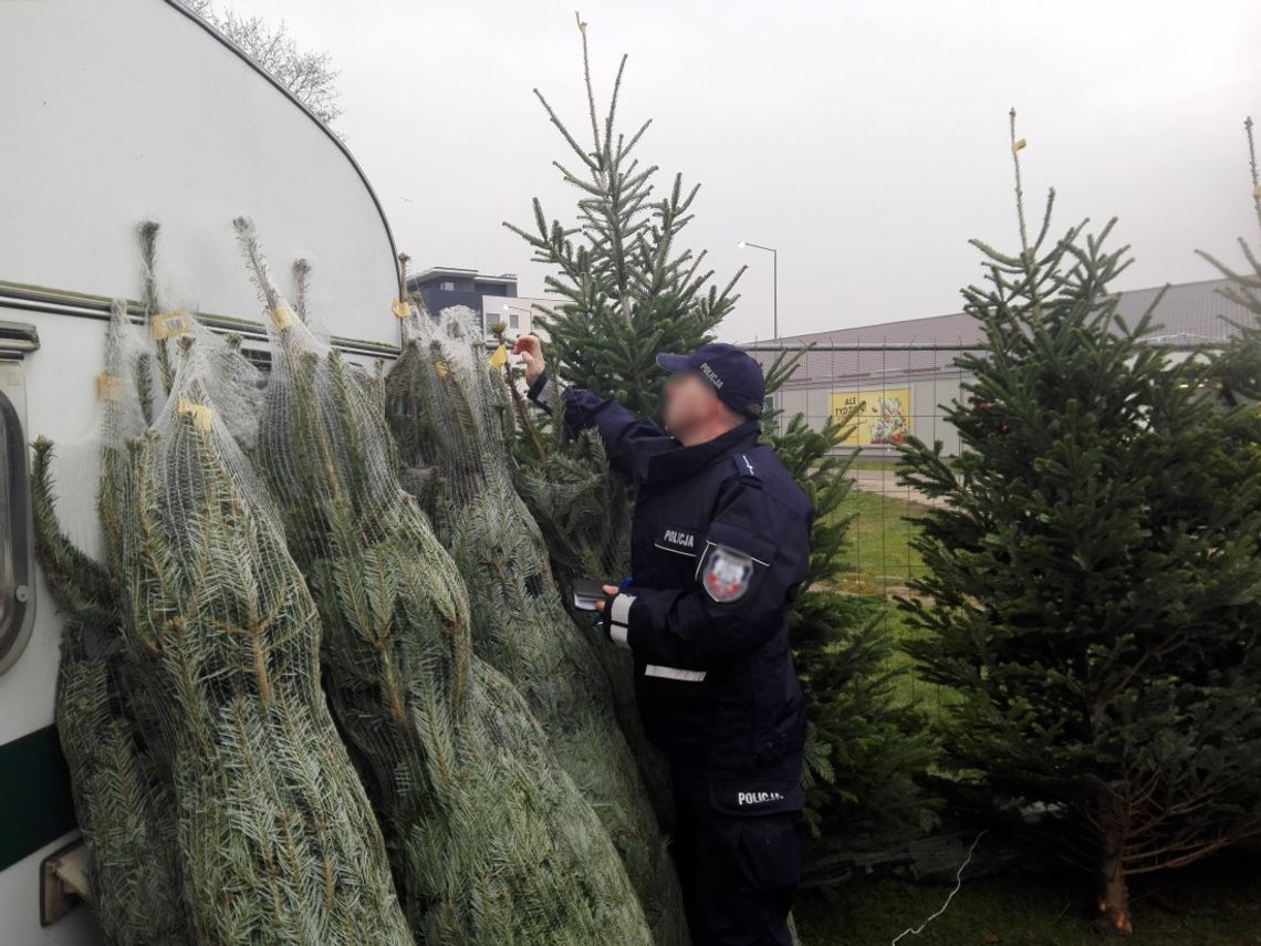 Pijany handlarz choinek podpalił furgonetkę innego sprzedawcy. Pokłócili się o ceny
