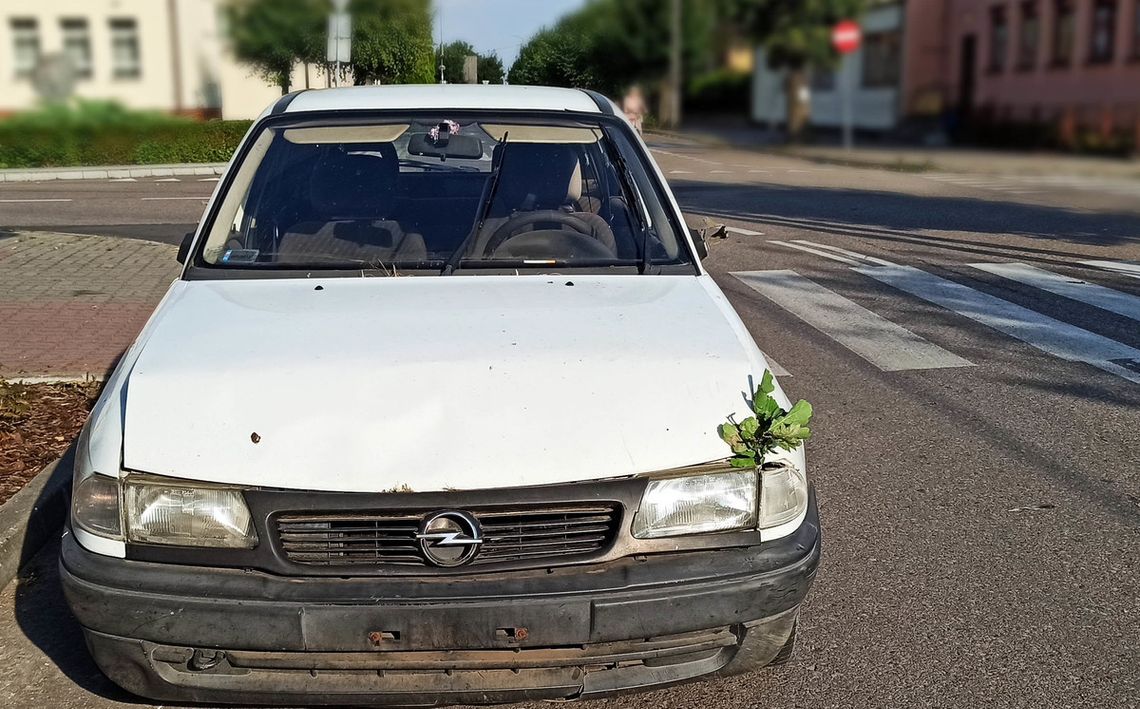 Pijany jechał pod prąd, spod maski wystawały gałęzie, a w aucie nie było lusterek. Policjantom powiedział, że... auto spadło z nieba