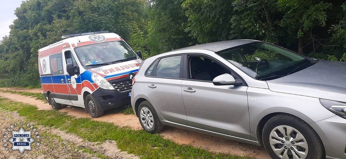 Pijany kierowca porzucił auto i uciekał przed policją z dzieckiem na rękach. Znaleźli ich w polu kukurydzy