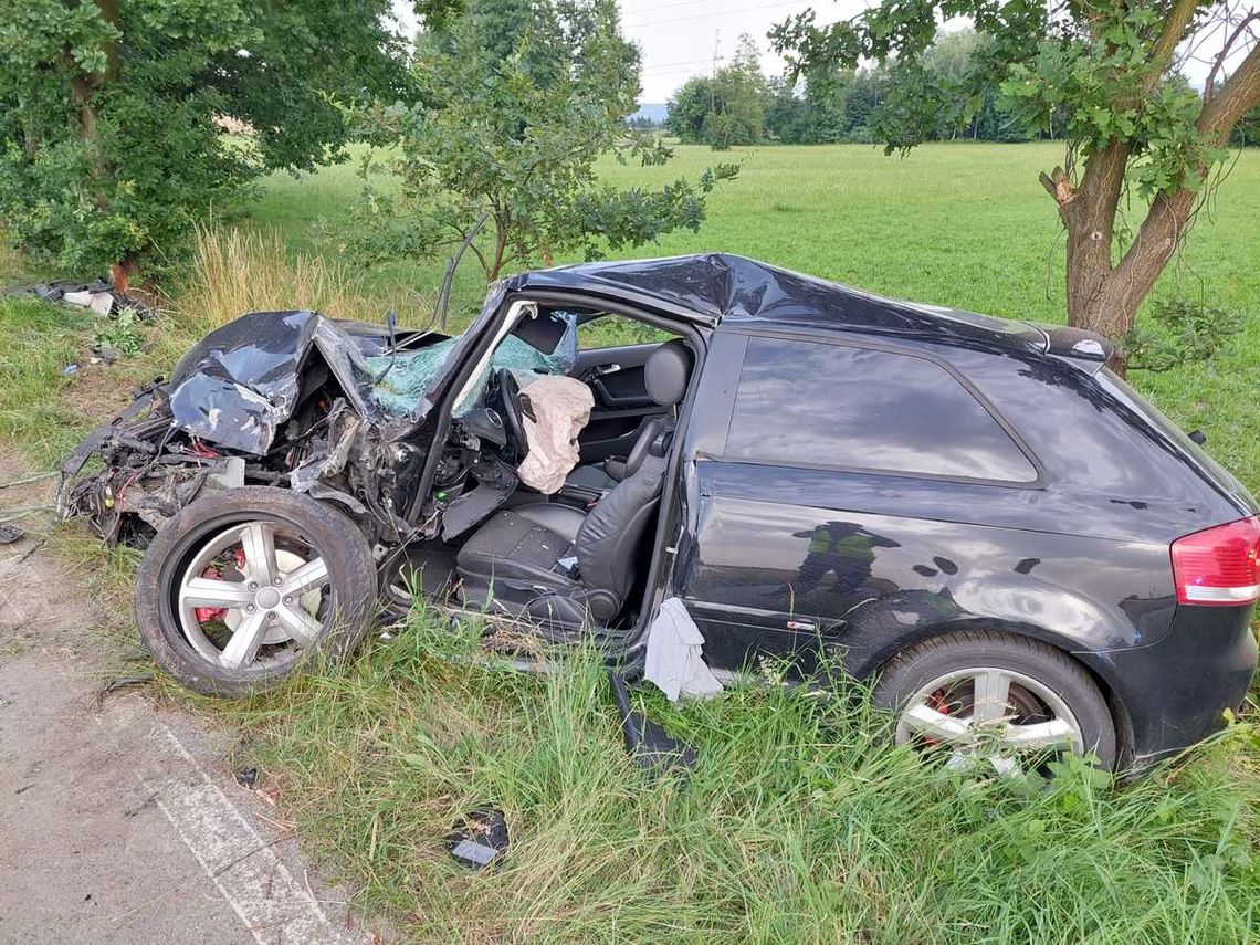 Pijany kierowca wjechał w matkę z dzieckiem. Kobieta zginęła, jej córka jest w ciężkim stanie