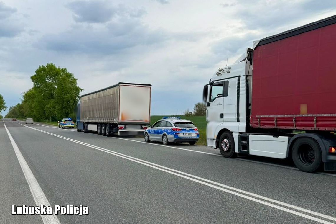 Pili razem, potem wsiedli do ciężarówek i ruszyli w trasę. Dwóch kierowców zatrzymanych