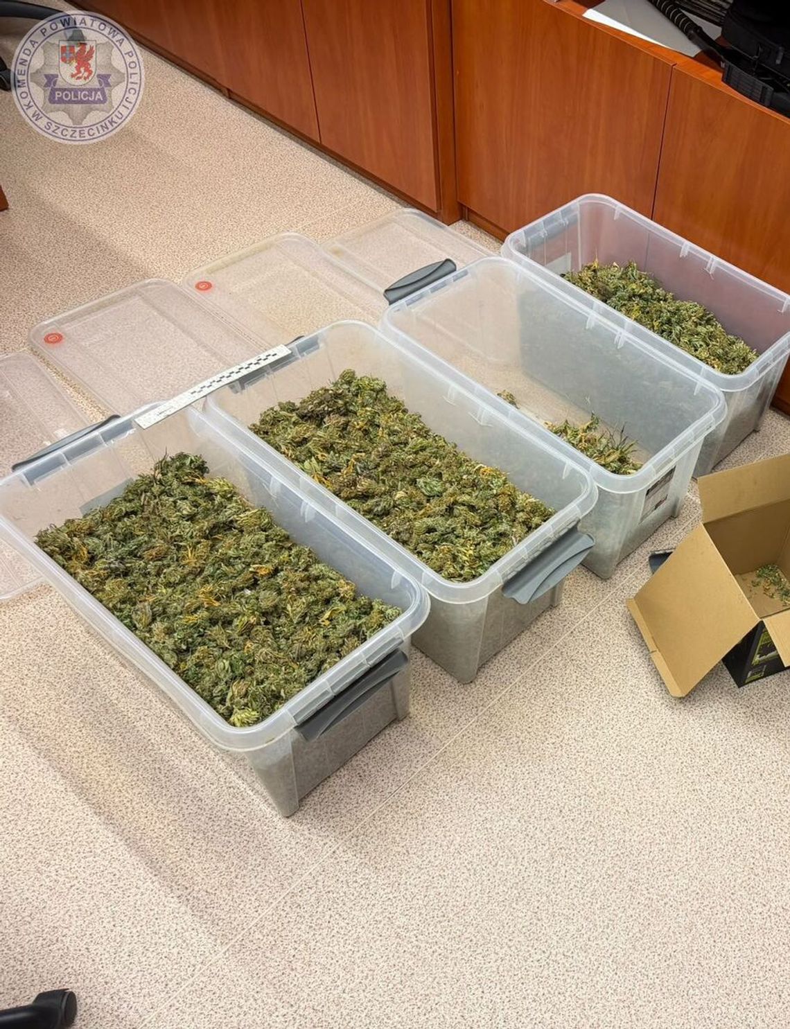 Plantacja konopi na osiedlu domków jednorodzinnych. Trzy osoby zatrzymane, przejęto 6 kg marihuany Plantacja konopi na osiedlu domków jednorodzinnych. Trzy osoby zatrzymane, przejęto 6 kg marihuany