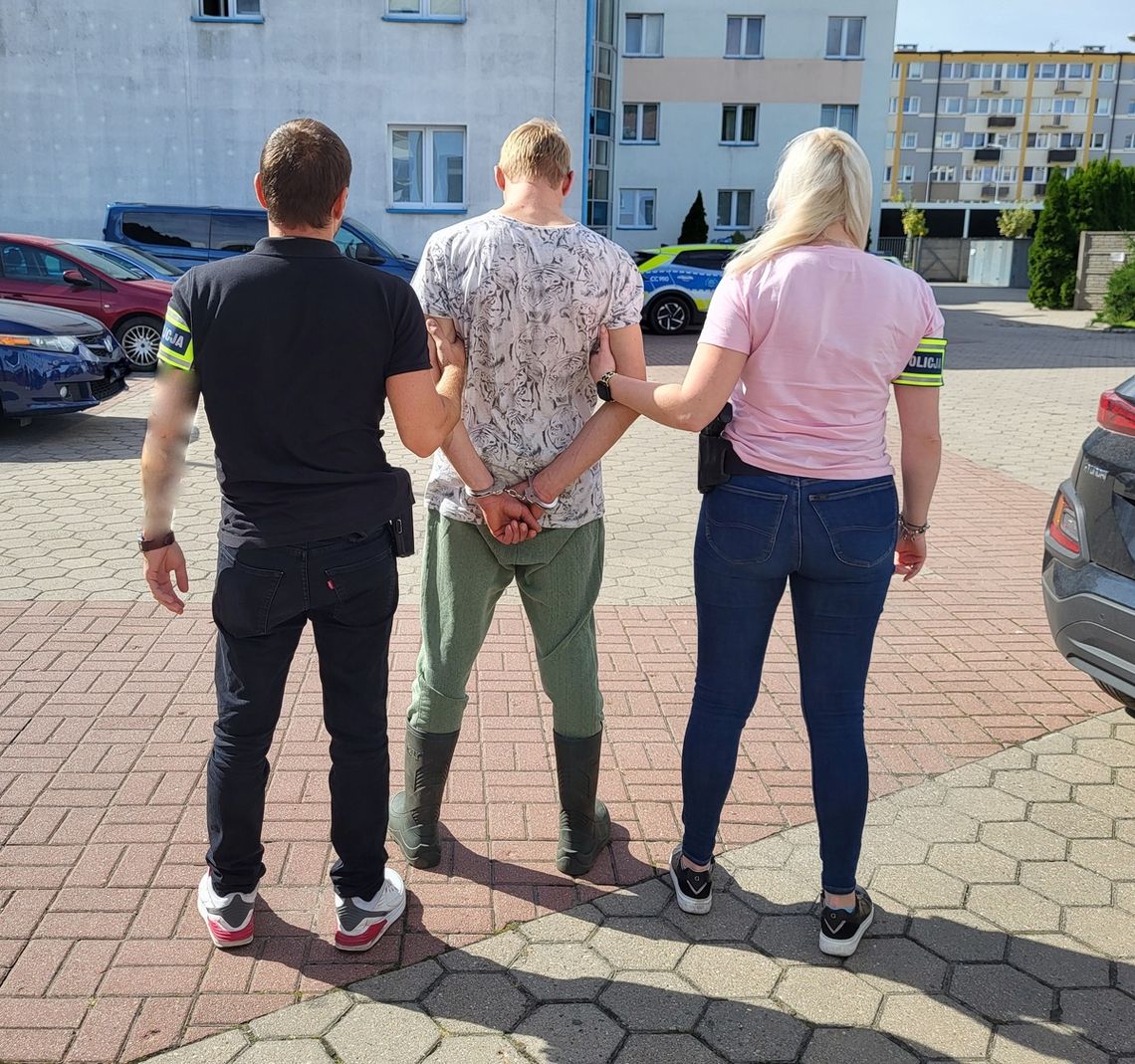 Plantacja marihuany pod obserwacją kryminalnych. Właściciele wpadli, gdy zjawili się na miejscu Plantacja marihuany pod obserwacją kryminalnych. Właściciele wpadli, gdy zjawili się na miejscu