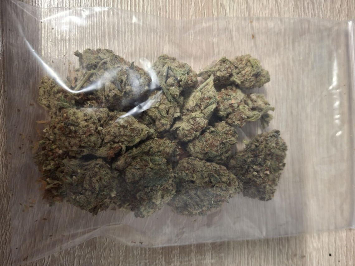 Po kłótni z sąsiadem wezwał policję. Mundurowi po przyjeździe wyczuli marihuanę i go zatrzymali Po kłótni z sąsiadem wezwał policję. Mundurowi po przyjeździe wyczuli marihuanę i go zatrzymali