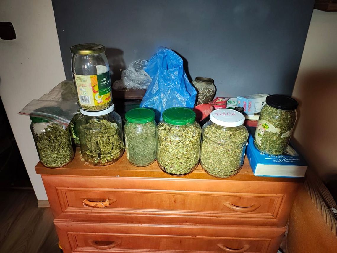 Po pijaku demolował samochody. Miał przy trochę narkotyków, a w domu prawie kilogram marihuany Po pijaku demolował samochody. Miał przy trochę narkotyków, a w domu prawie kilogram marihuany