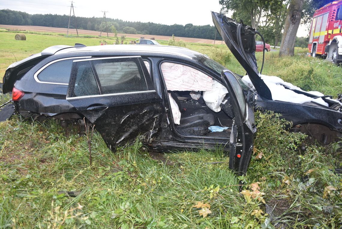 Po pijaku rozbił BMW na drzewie. Za karę przez 10 miesięcy będzie pracował za darmo i jeszcze musi płacić Po pijaku rozbił BMW na drzewie. Za karę przez 10 miesięcy będzie pracował za darmo i jeszcze musi płacić