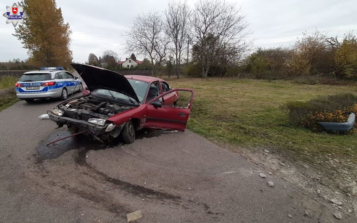 Po pijaku wjechali w ścięte drzewo. W trackie interwencji obok zatrzymał się ciekawski kierowca. Miał 2 promile