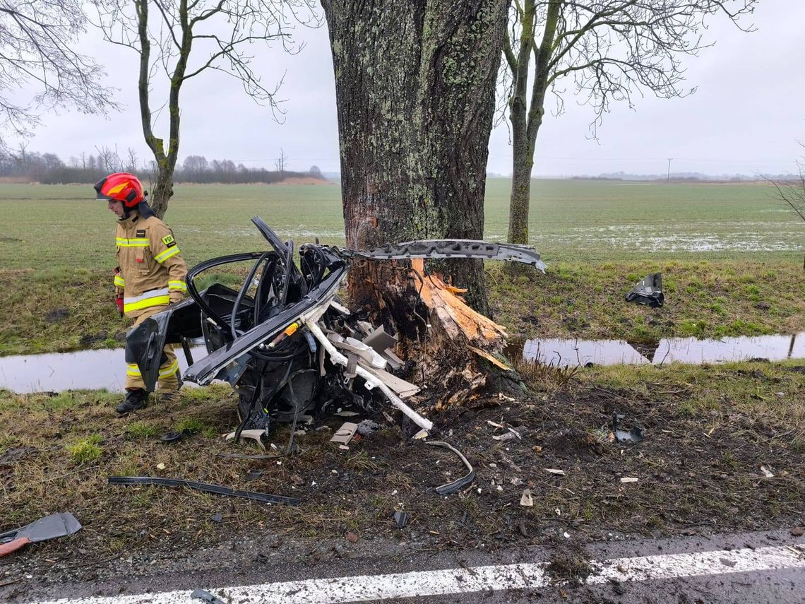 Po uderzeniu w drzewo auto zostało rozerwane. Kierowca nie miał szans na przeżycie [FOTO]