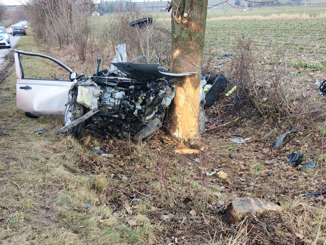 Po uderzeniu w drzewo nissan został zmiażdżony. 19-letni kierowca zginął na miejscu [FOTO]