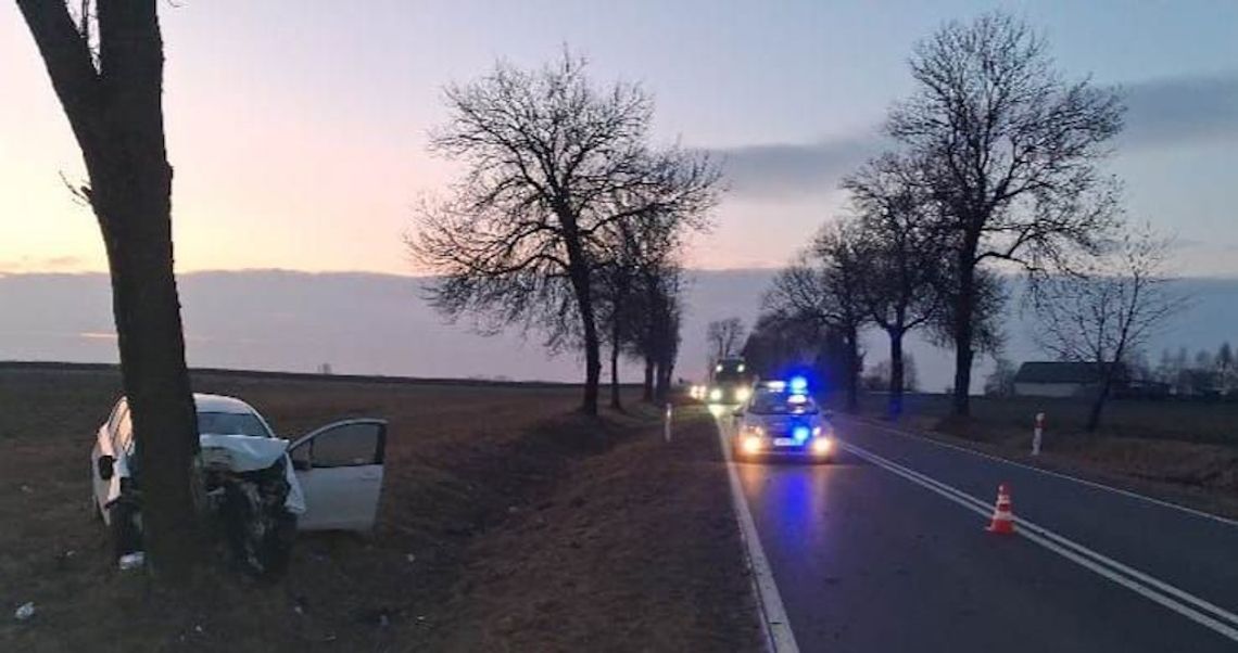 Po uderzeniu w sarnę auto wypadło z drogi i wbiło się w drzewo. Kierowca został poważnie ranny