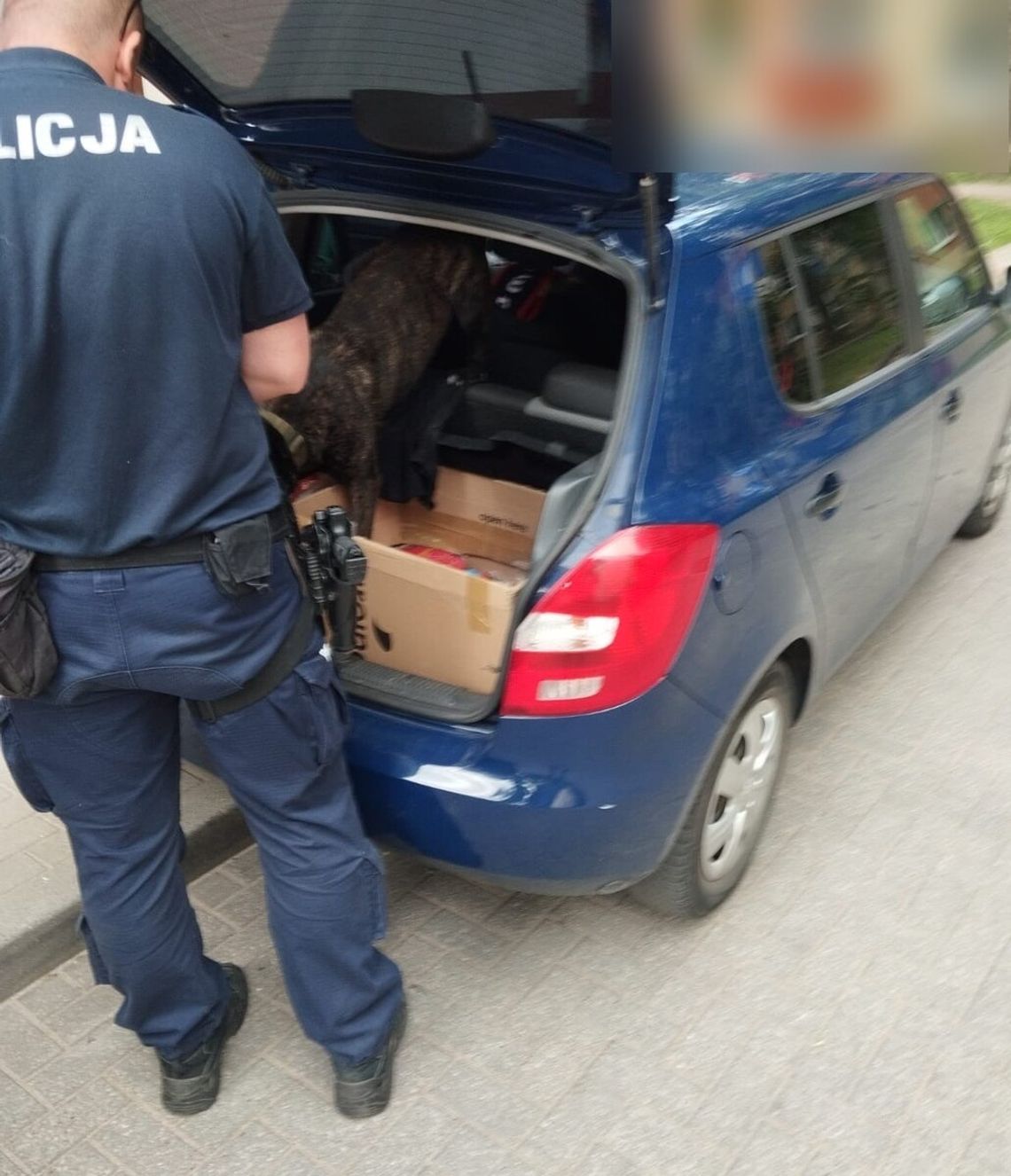 Po zatrzymaniu jednego dilera policja namierzyła jeszcze dwóch. Są w areszcie, stracili towar i pieniądze Po zatrzymaniu jednego dilera policja namierzyła jeszcze dwóch. Są w areszcie, stracili towar i pieniądze