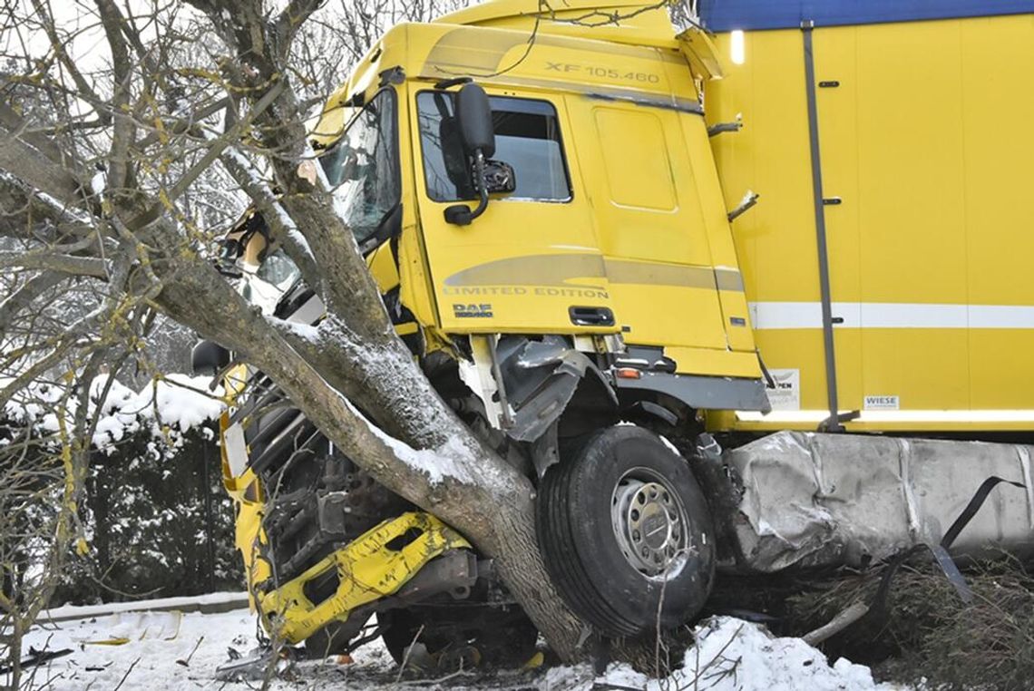 Po zderzeniu z audi ciężarówka zatrzymała się dopiero na drzewie. Wymusił kierowca osobówki Po zderzeniu z audi ciężarówka zatrzymała się dopiero na drzewie. Wymusił kierowca osobówki