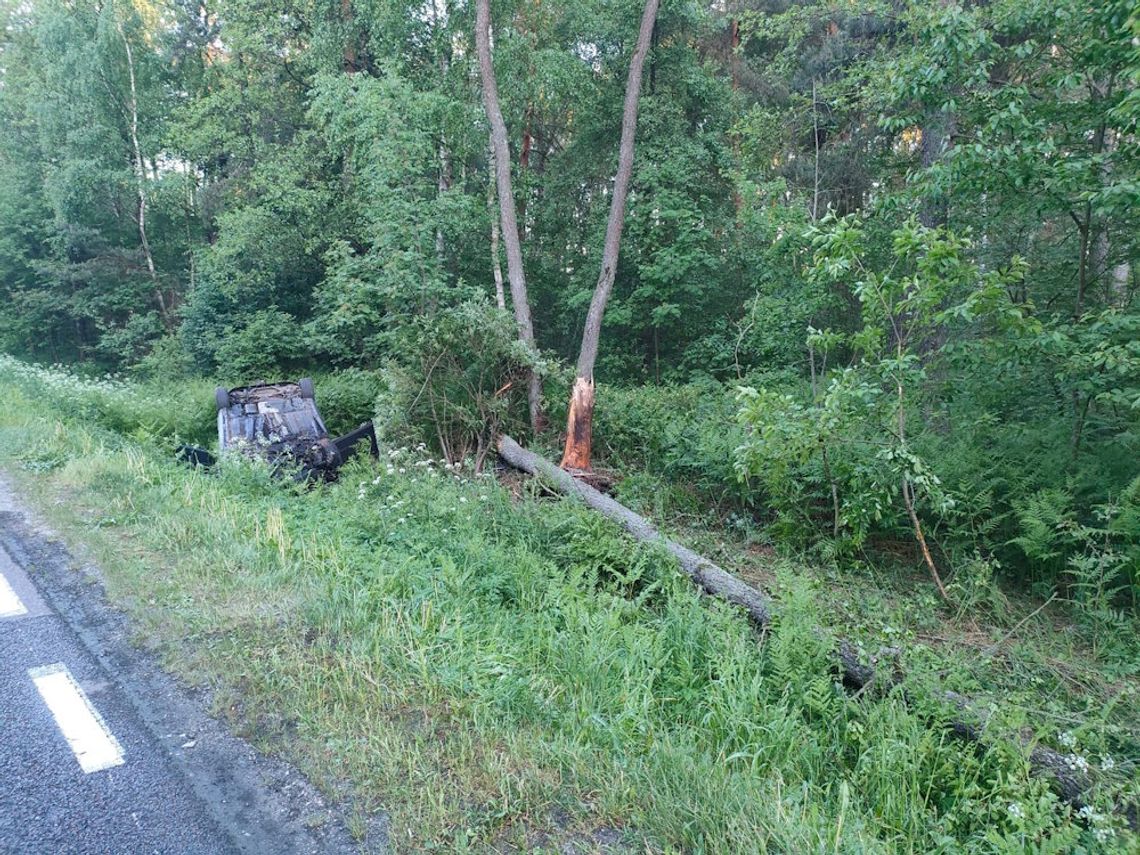 Po zderzeniu z łosiem auto wypadło z drogi i dachowało. Kierowca zginął na miejscu