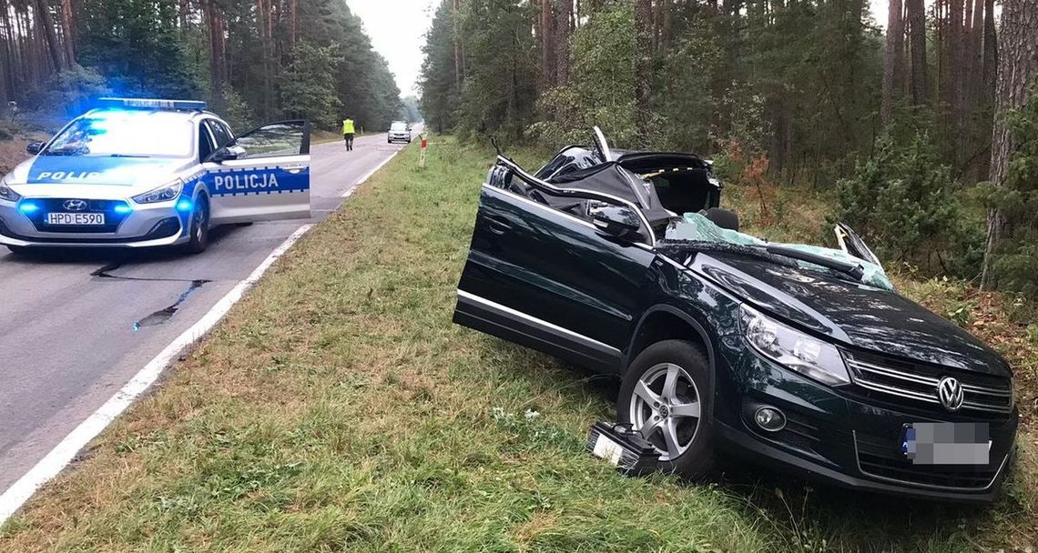 Podczas jazdy na samochód spadło drzewo. Kierowca z poważnymi obrażeniami trafił do szpitala [FOTO]