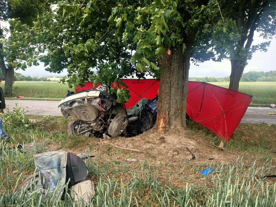 Podczas wyprzedzania BMW wypadło z drogi i wbiło się w drzewo. Zginął 25-letni kierowca [FOTO]