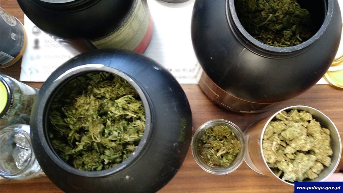 Podejrzewali, że 31-latek diluje marihuaną. Znaleźli u niego ponad kilogram zioła