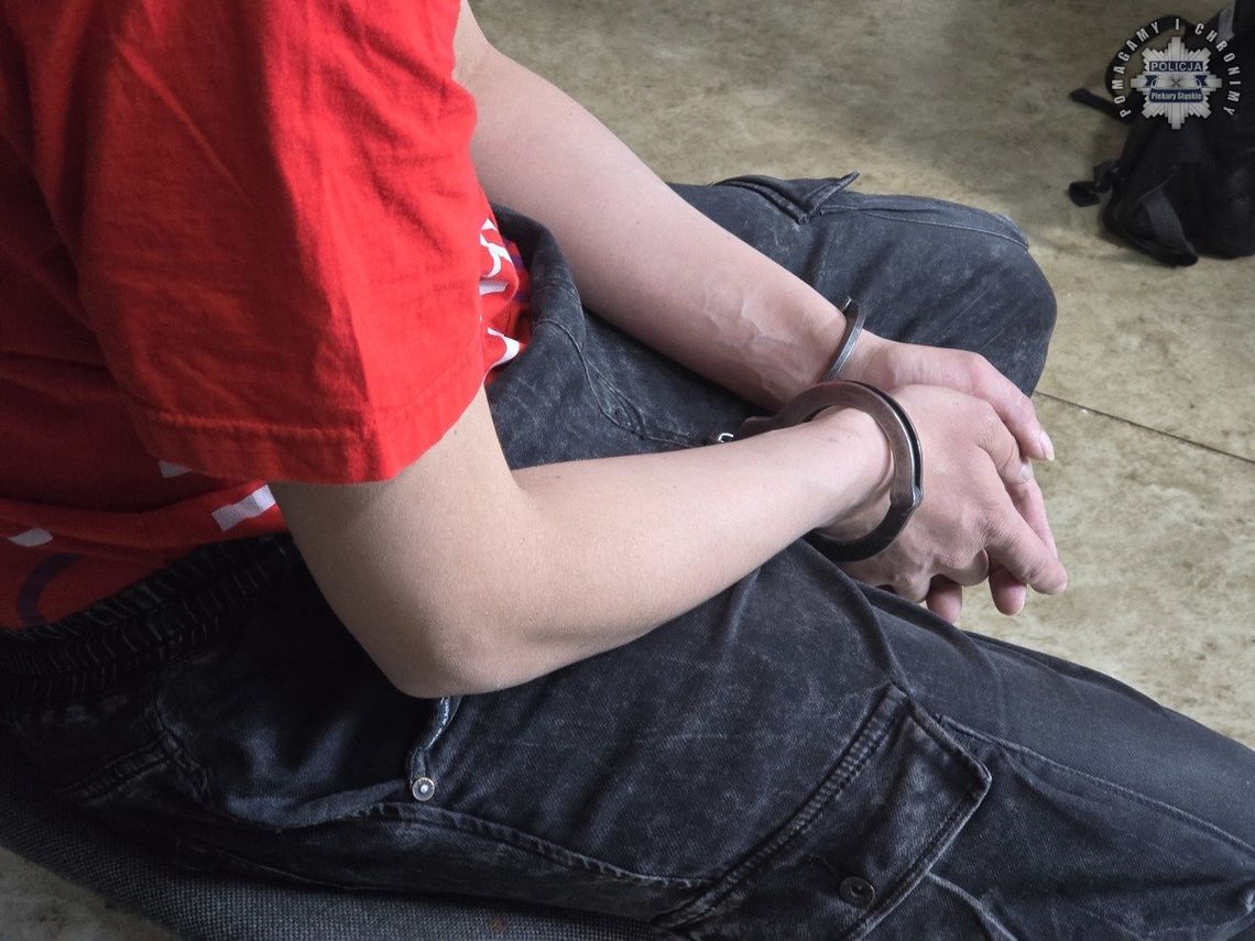 Podpalił restaurację, powodując straty na ponad 3,5 miliona złotych. 25-letni Kamil N. aresztowany