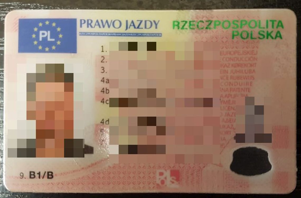 Pokazał fałszywe prawo jazdy: "Kupiłem w internecie, sprzedawca mówił, że jest ok"