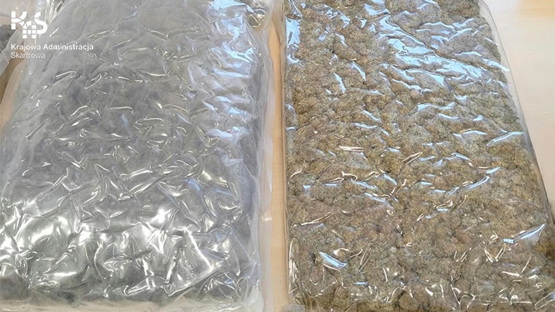 Policja i KAS weszły do mieszkania 28-latka. Zabezpieczono blisko 10 kilogramów narkotyków Policja i KAS weszły do mieszkania 28-latka. Zabezpieczono blisko 10 kilogramów narkotyków