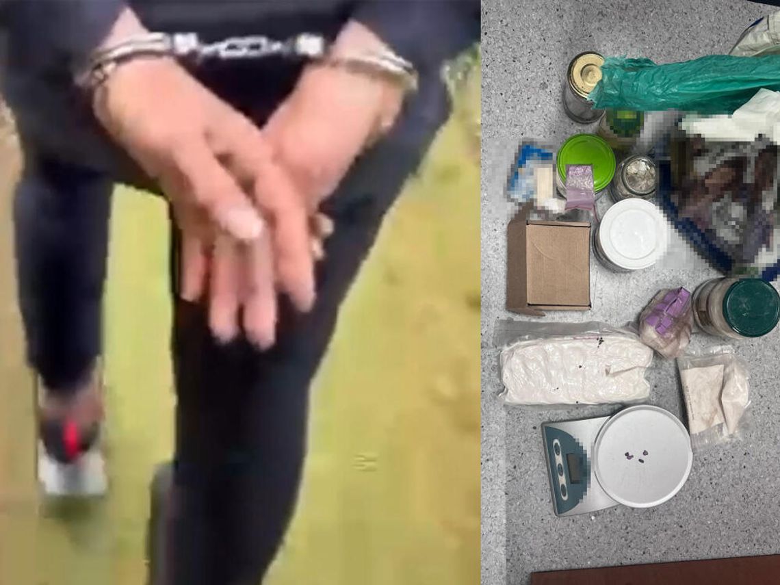 Policja odkryła magazyn narkotyków na ogródkach działkowych. Zatrzymany 41-latek