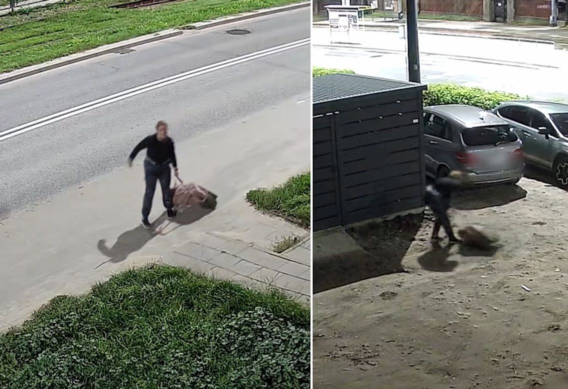 Policja szuka kobiety z nagrania. Zostawiła walizkę, w środku znaleziono martwego psa Policja szuka kobiety z nagrania. Zostawiła walizkę, w środku znaleziono martwego psa