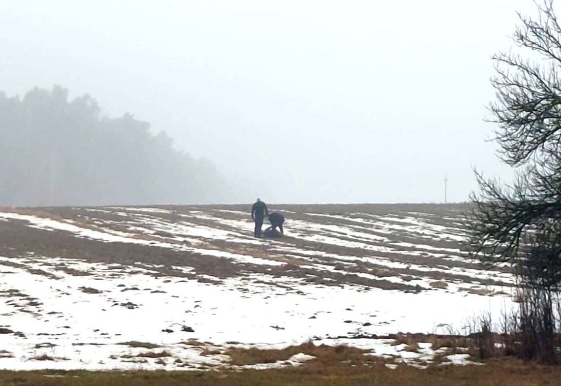 Policjanci gonili 33-latka, jego kolega poszczuł ich psami. Jeden z funkcjonariuszy został ranny