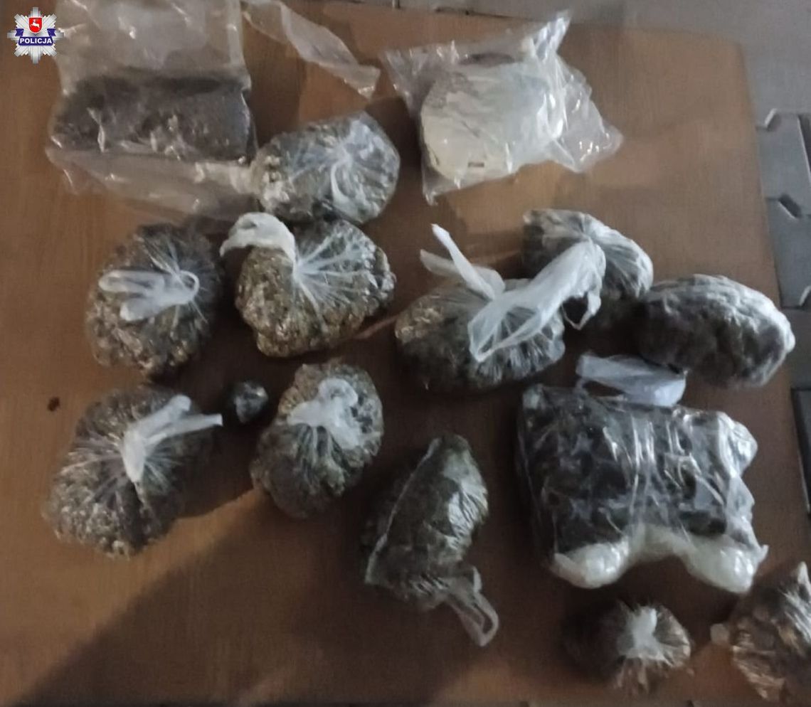 Policjanci i żandarm z psem zrobili nalot na dom 31-latka. Trzymał w nim prawie 3 kilogramy marihuany