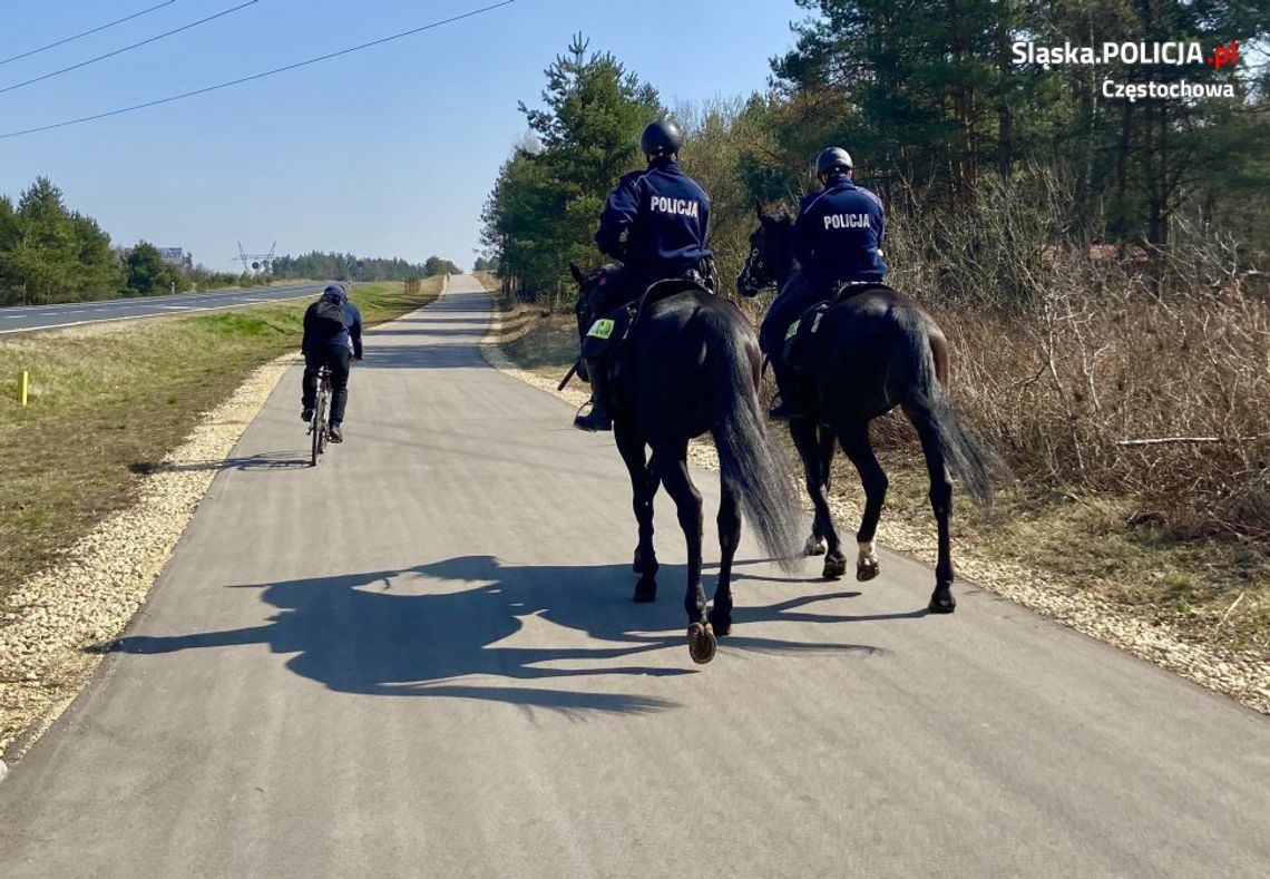 Policjanci na koniach ścigali rowerzystów. Zatrzymany 21-latek miał marihuanę