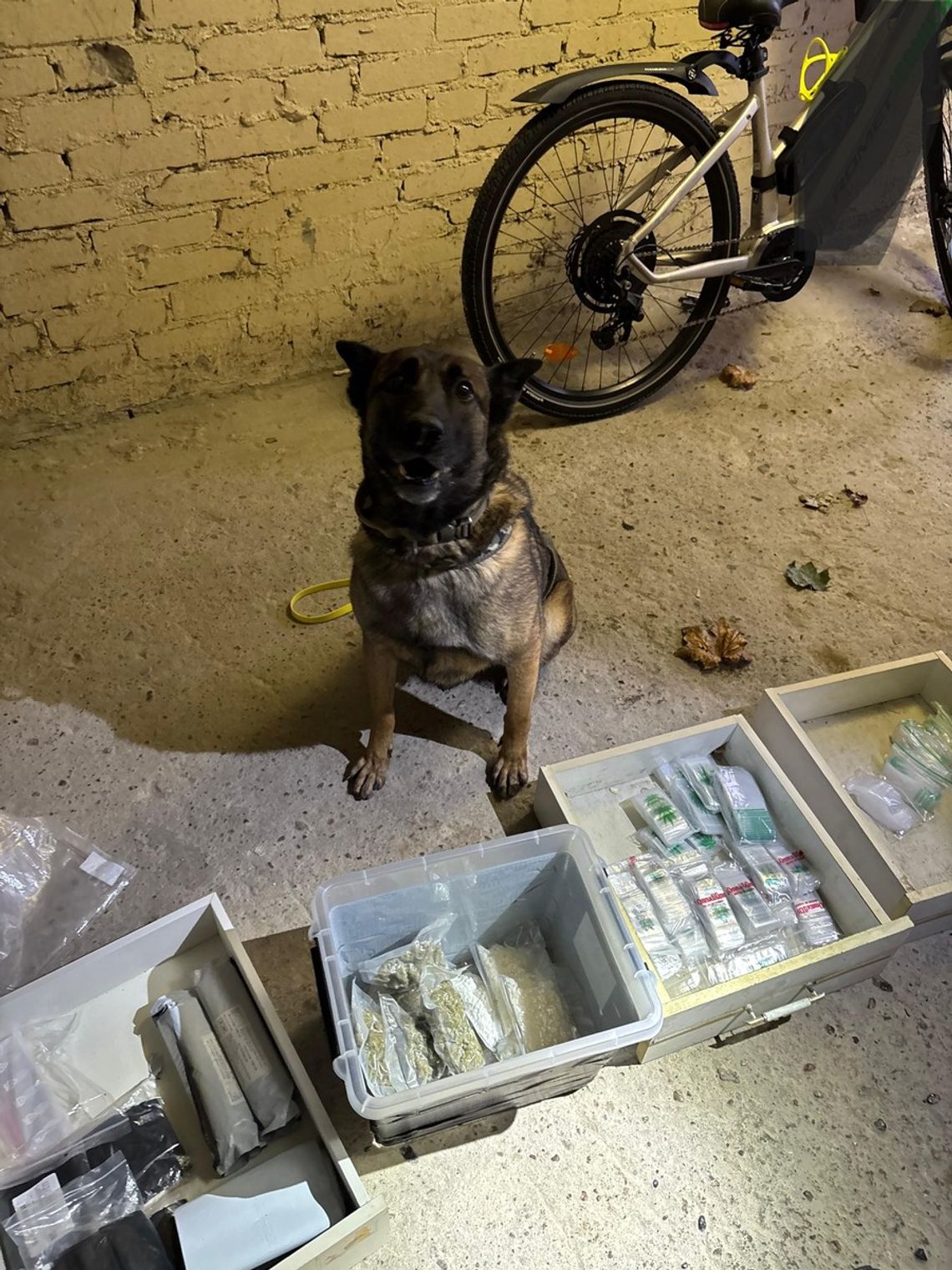 Policjanci obserwowali mieszkanie dilującej pary i w końcu ruszyli do akcji. Przejęty ponad kilogram narkotyków i pieniądze Policjanci obserwowali mieszkanie dilującej pary i w końcu ruszyli do akcji. Przejęty ponad kilogram narkotyków i pieniądze