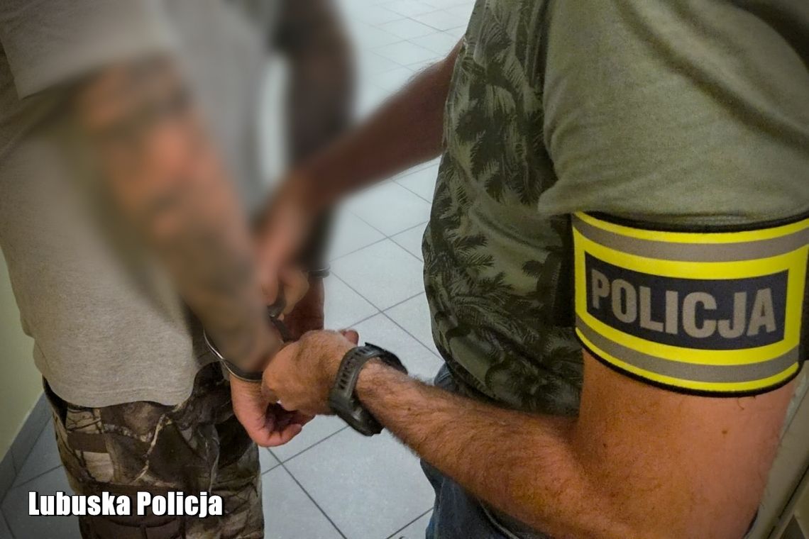 Policjanci odkryli leśną plantację zioła. Na miejscu zatrzymano dwóch mężczyzn