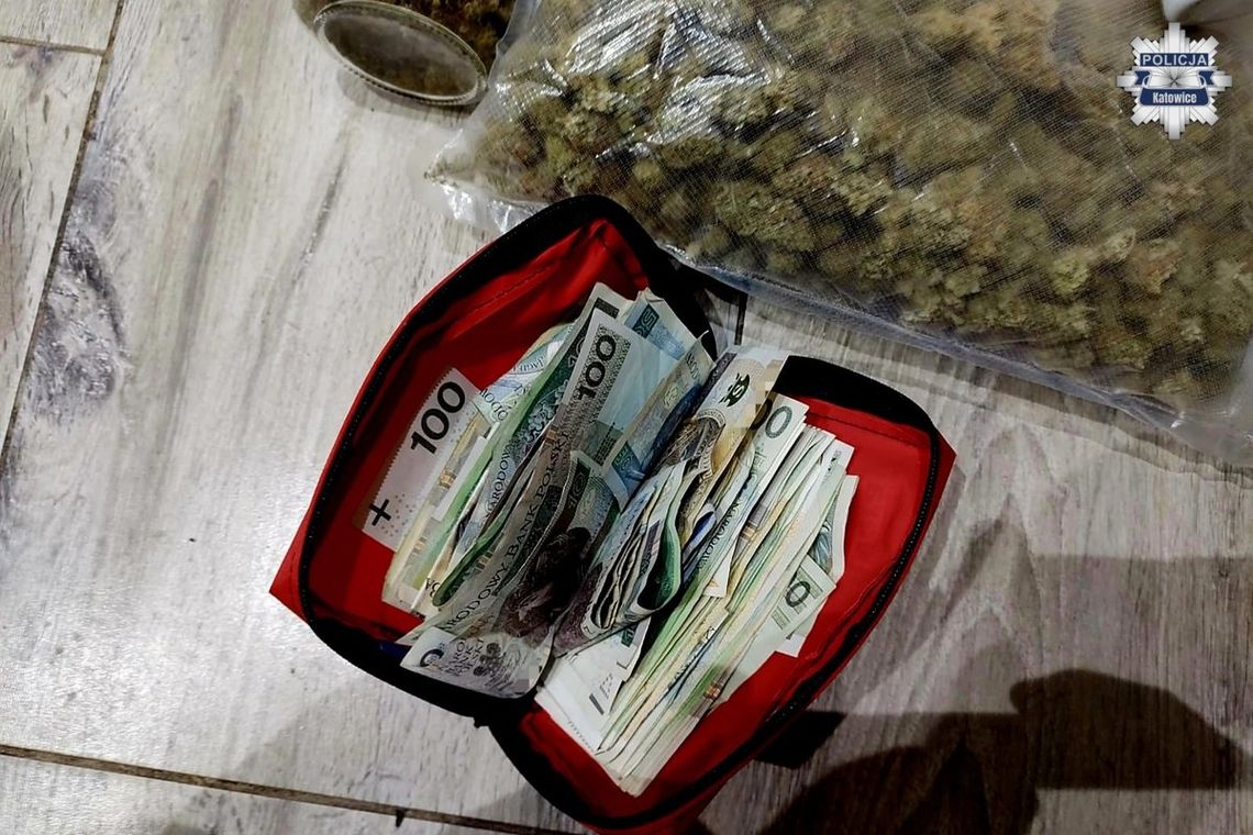 Policjanci uzyskali informację o 30-letnim dilerze. Podczas zatrzymania przejęli pół kilo marihuany