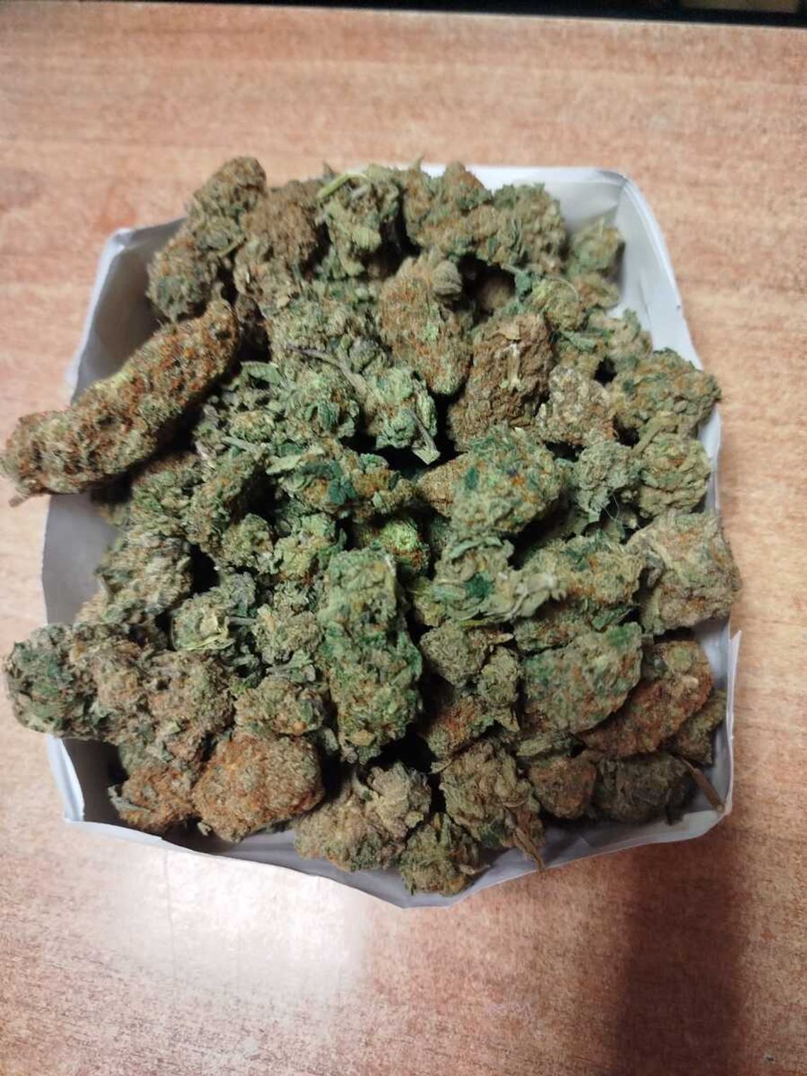 Policjanci wyczuli zapach marihuany na ulicy. Zareagowali natychmiast i zatrzymali 22-latka Policjanci wyczuli zapach marihuany na ulicy. Zareagowali natychmiast i zatrzymali 22-latka