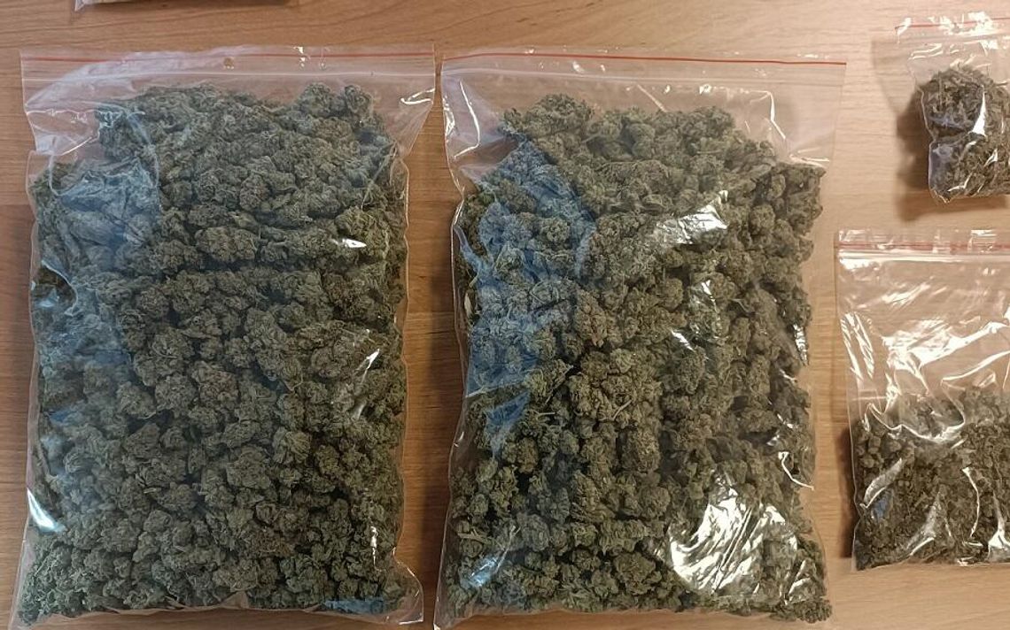 Policyjny nalot zakończony zatrzymaniem dwóch dilerów i przejęciem znacznych ilości narkotyków