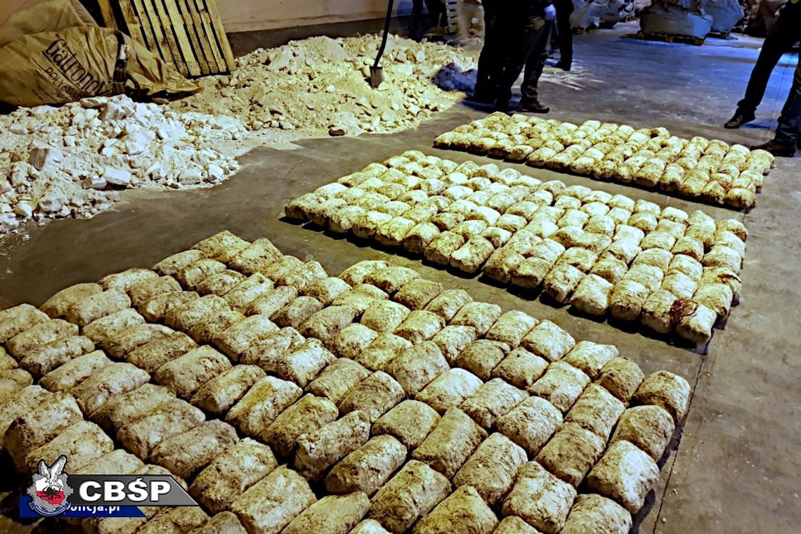 Polska firma szmuglowała narkotyki na wielką skalę. Właściciel odpowie za przemyt i pranie pieniędzy