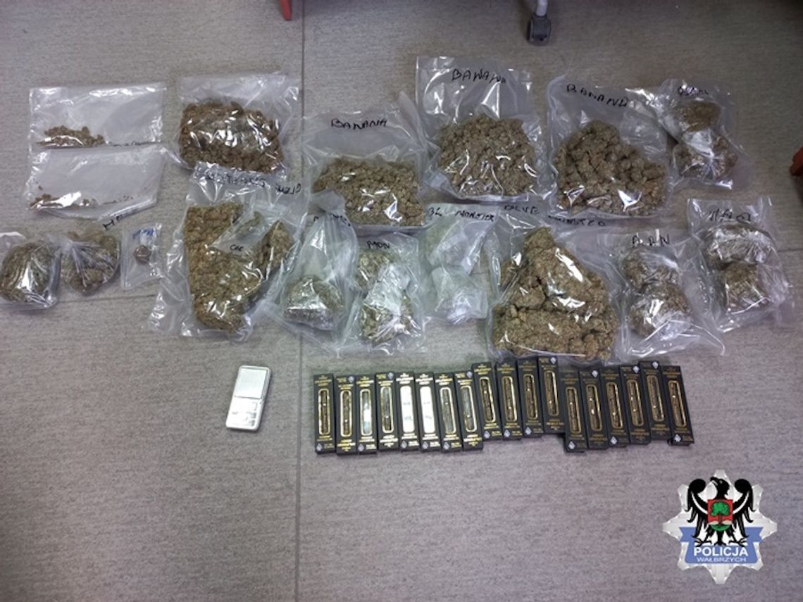 Ponad 2 kilogramy marihuany i olejki z THC w mieszkaniu pseudokibica. Zatrzymany 46-latek Ponad 2 kilogramy marihuany i olejki z THC w mieszkaniu pseudokibica. Zatrzymany 46-latek