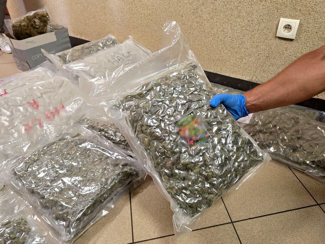 Ponad 22 kilogramy marihuany w mieszkaniu. 29-latek przemycił narkotyki z Holandii