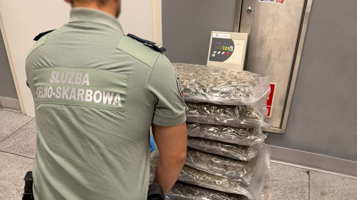Ponad 40 kg marihuany w paczkach z Kanady. Celnicy udaremnili przemyt narkotyków wartych 2 miliony Ponad 40 kg marihuany w paczkach z Kanady. Celnicy udaremnili przemyt narkotyków wartych 2 miliony