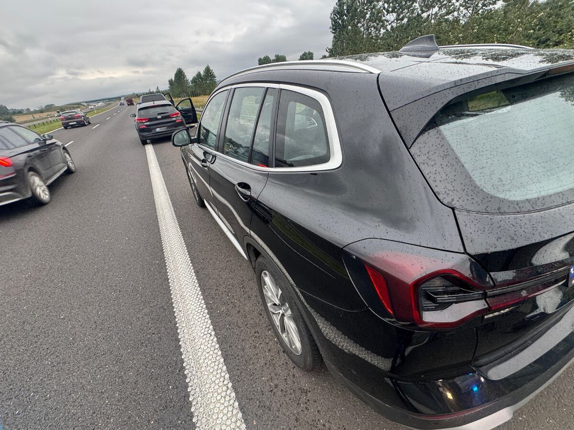 Ponad 8 kg marihuany w BMW. Kryminalni urządzili zasadzkę na drodze ekspresowej Ponad 8 kg marihuany w BMW. Kryminalni urządzili zasadzkę na drodze ekspresowej