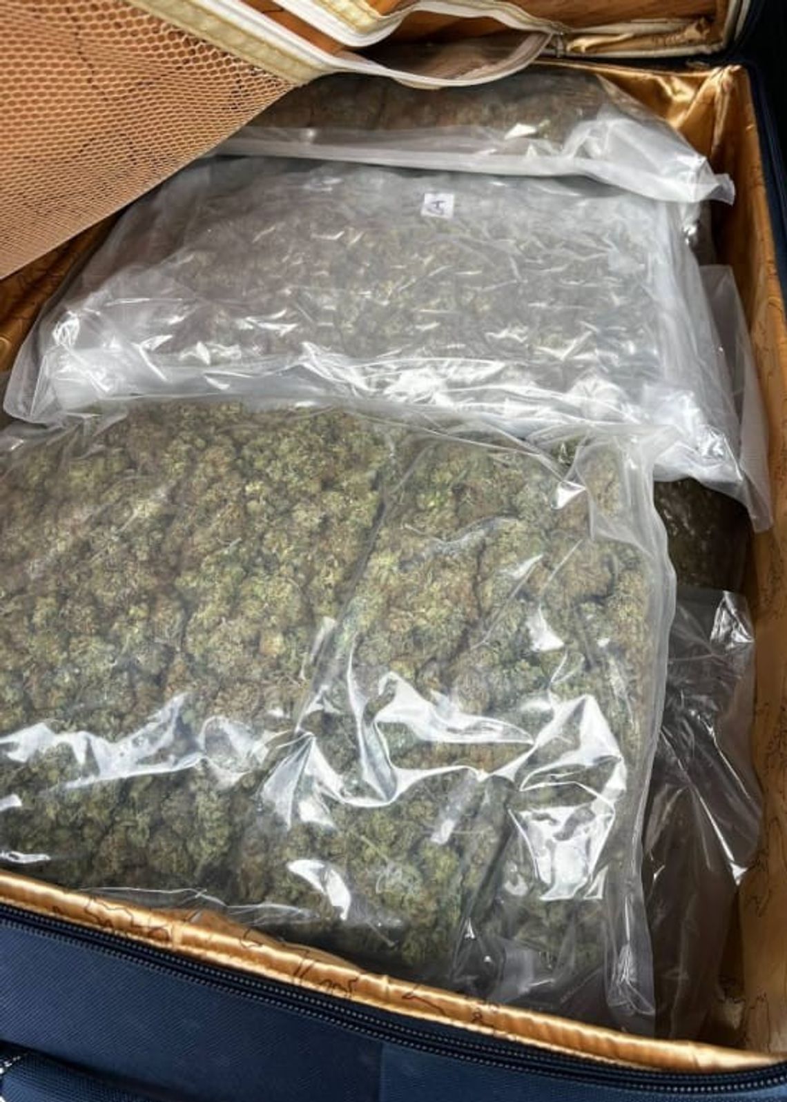 Ponad 8 kilogramów marihuany w bagażniku. Poważne zarzuty dla dwóch mężczyzn Ponad 8 kilogramów marihuany w bagażniku. Poważne zarzuty dla dwóch mężczyzn