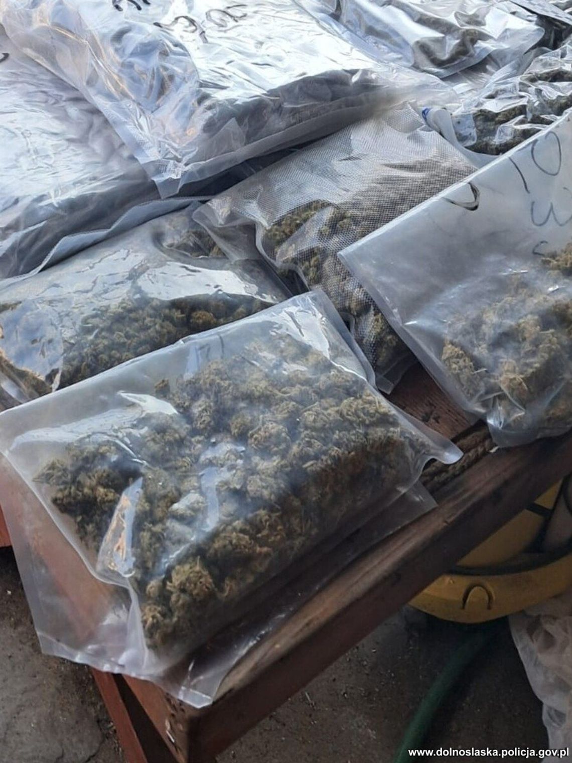 Ponad 8 kilogramów narkotyków w pomieszczeniu gospodarczym. 36-latek aresztowany Ponad 8 kilogramów narkotyków w pomieszczeniu gospodarczym. 36-latek aresztowany