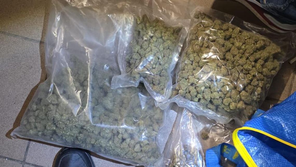Ponad kilogram marihuany i klefedron. Narkotykowa wpadka podczas rutynowej kontroli drogowej Ponad kilogram marihuany i klefedron. Narkotykowa wpadka podczas rutynowej kontroli drogowej
