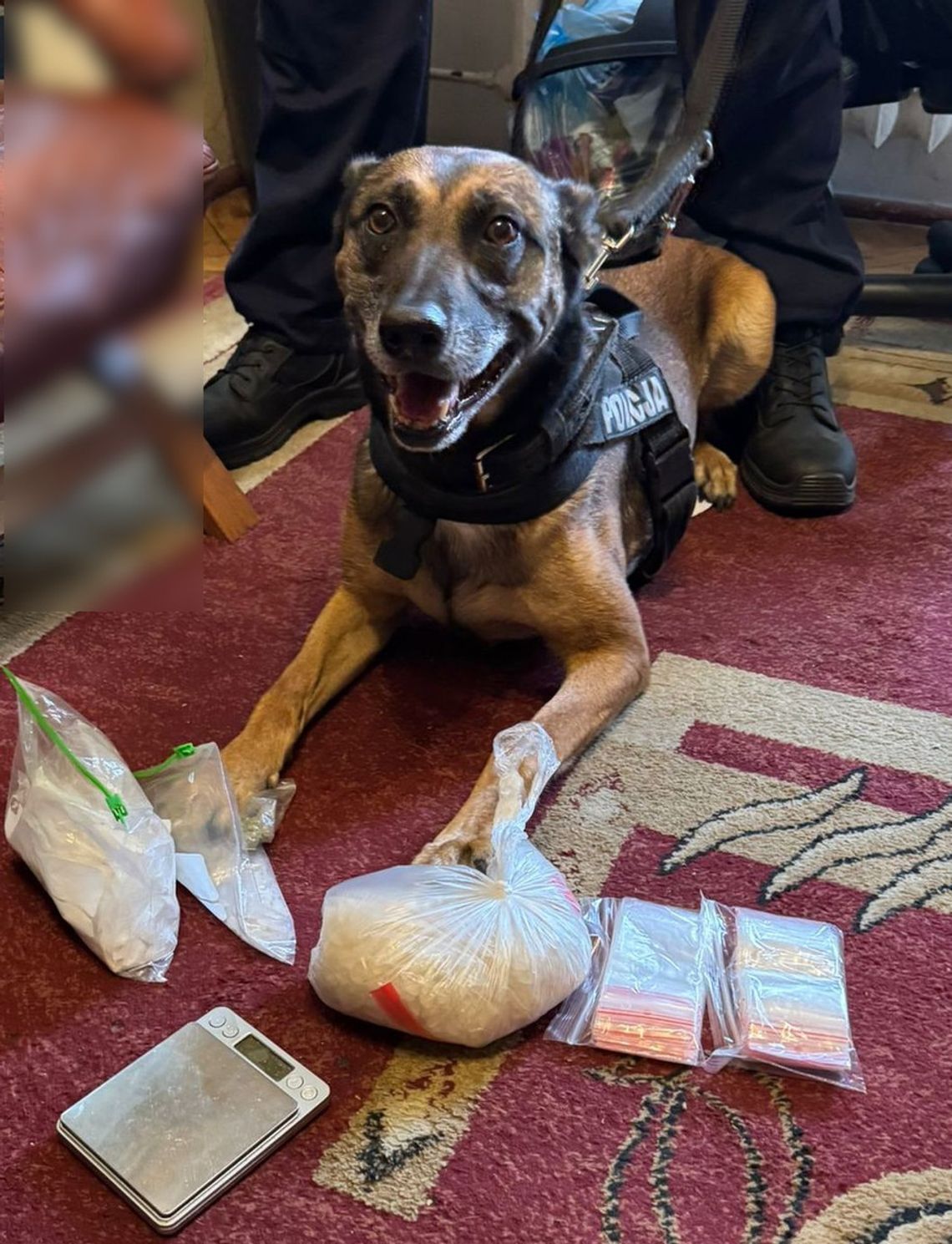 Ponad kilogram narkotyków w mieszkaniu 29-latka. Mężczyzna aresztowany po nalocie kryminalnych