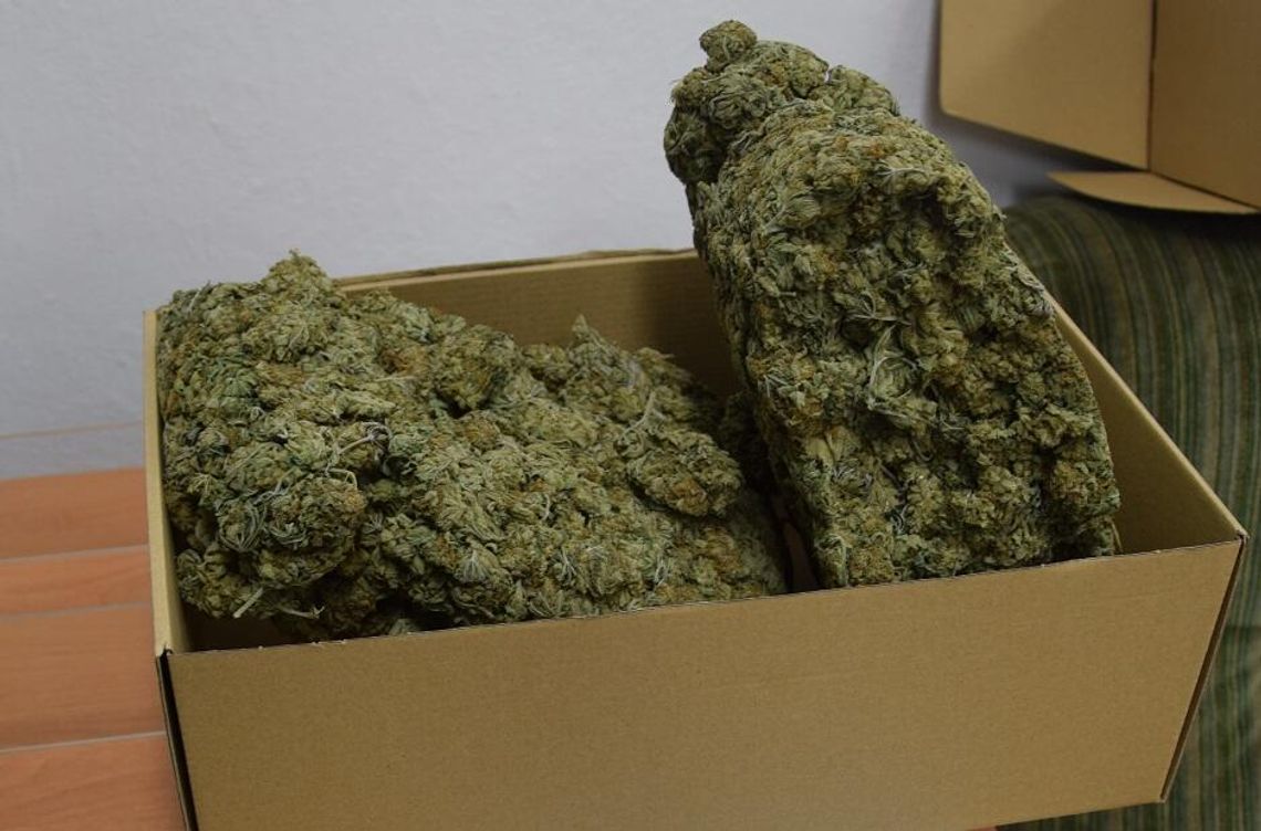 Ponad kilogram narkotyków w piwnicy. 28-latek aresztowany po nalocie policji