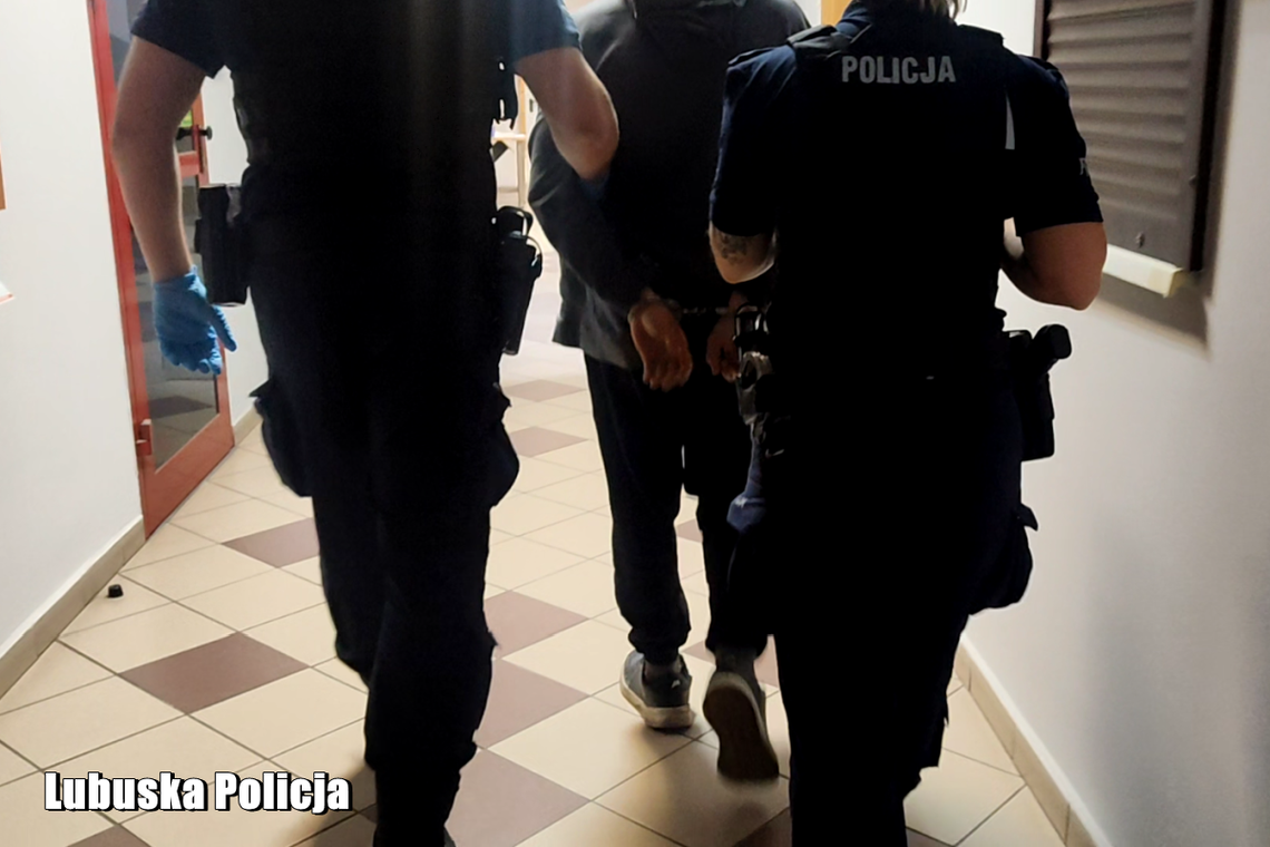 Poprosiła o bilet, zamiast niego dostała cios w brzuch. 22-latek spacyfikowany przez maszynistę i pasażera