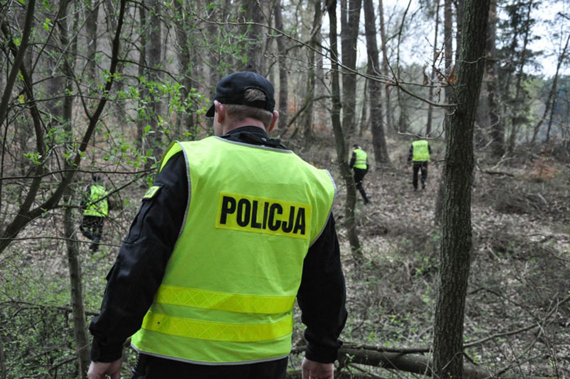 Poszedł z synami na grzyby. Z lasu musiała ich wyprowadzić policja