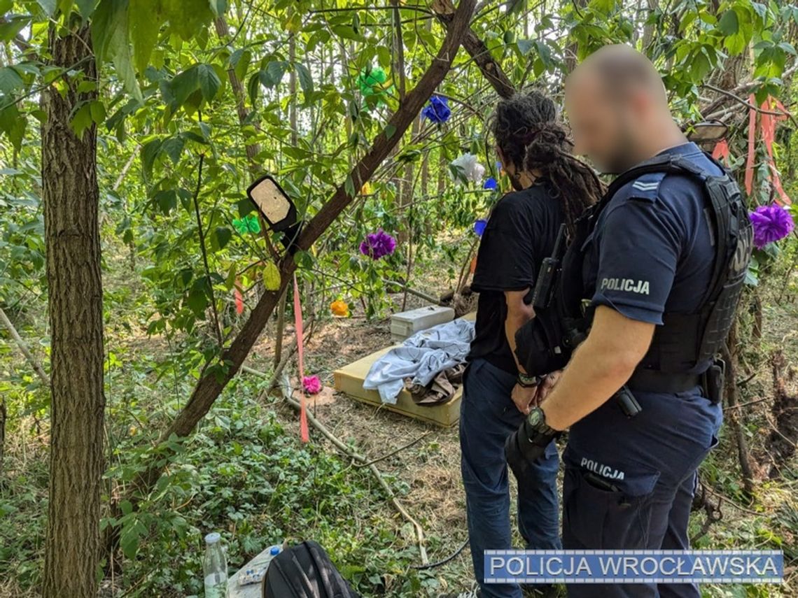 Poszukiwany diler zaszył się w leśnym szałasie. Wpadł po donosie od mieszkańców [WIDEO, FOTO]