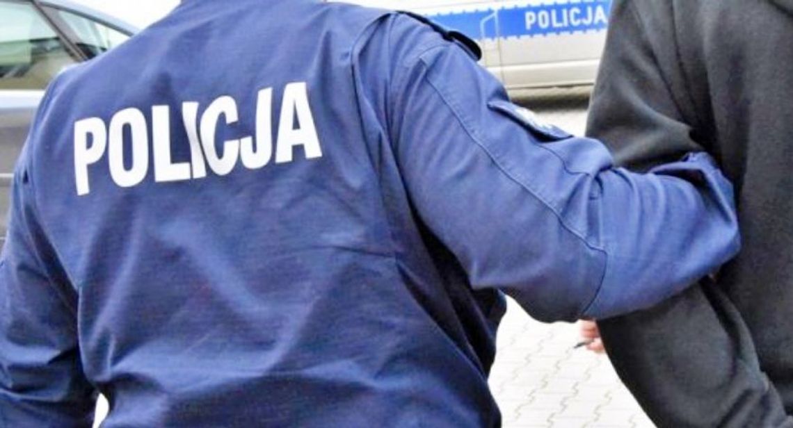 Poszukiwany europejskim listem gończym szef gangu zatrzymany na Śląsku