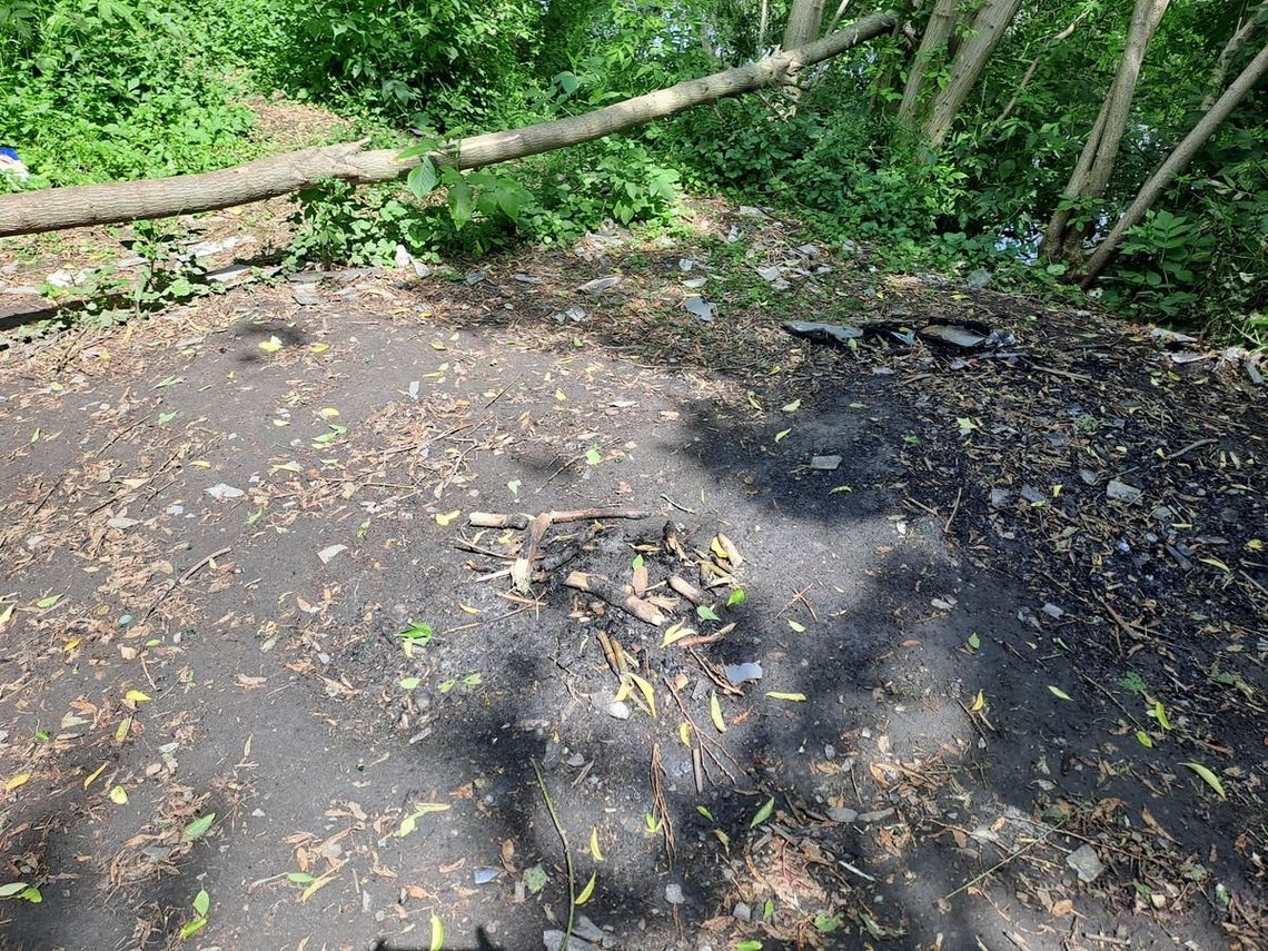 Poszukiwany wpadł, bo piekł kiełbaskę w parku. Przechodzień doniósł na niego policji