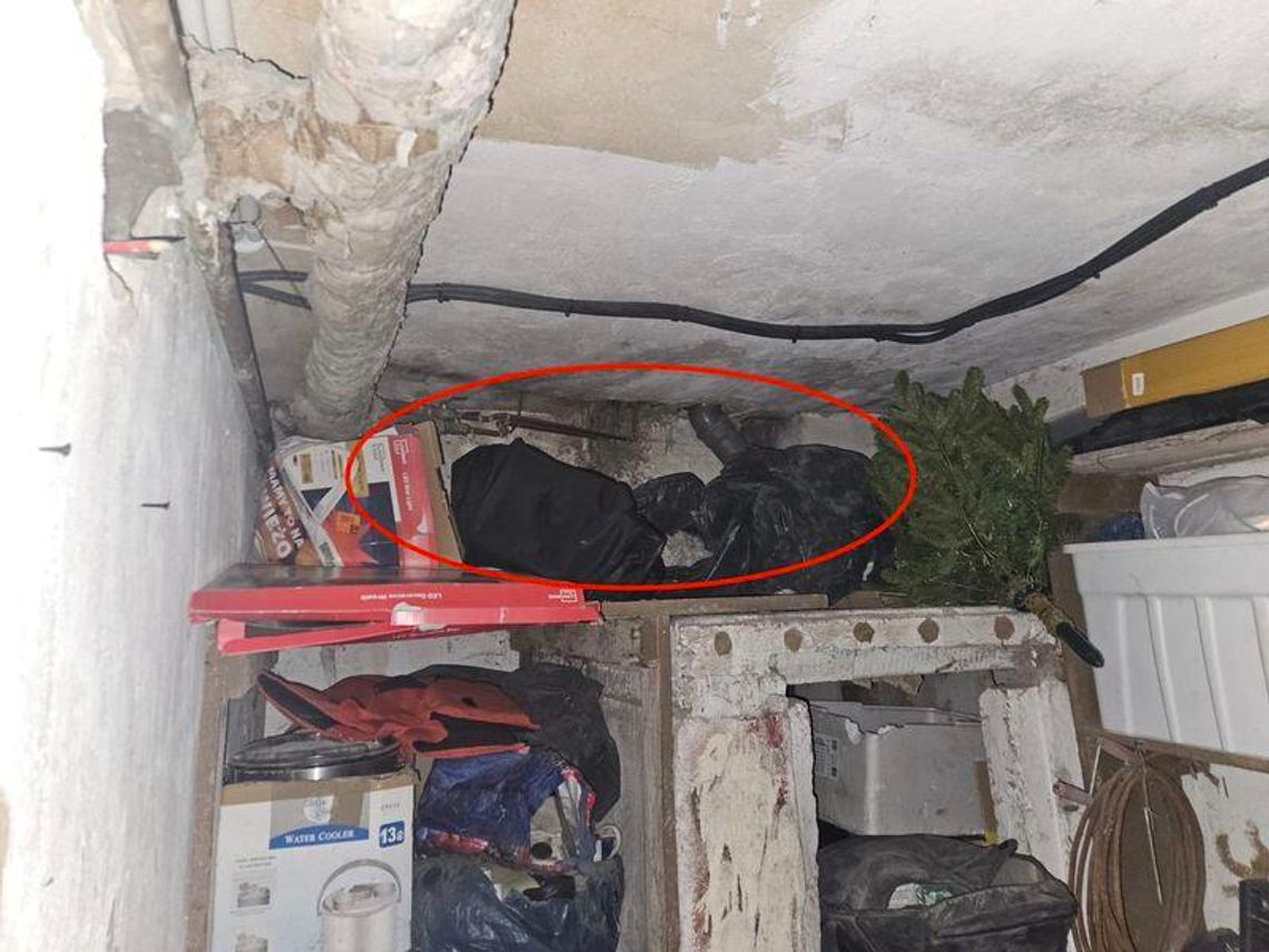 Poszukiwany "z górnej półki". Policjanci znaleźli 29-latka ukrytego za stertą worków w piwnicy